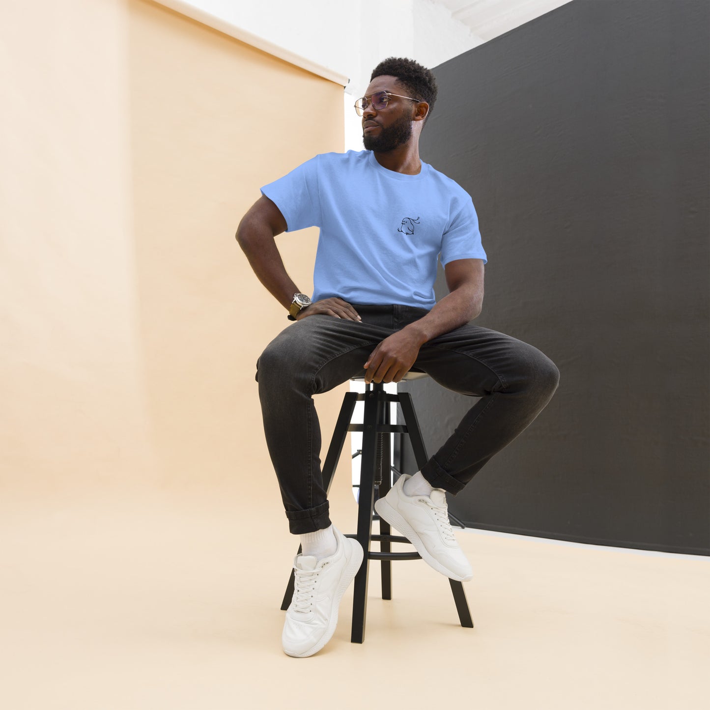 Birb Men's classic tee